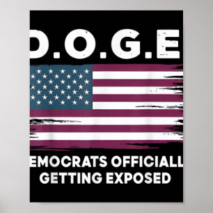 Doge Democrats Officially Getting Exposed _3 Poster