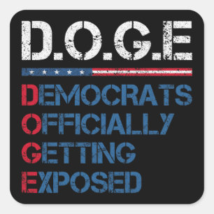 DOGE Department Of Government Efficiency Square Sticker