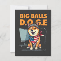 Doge epartment of government Efficiency