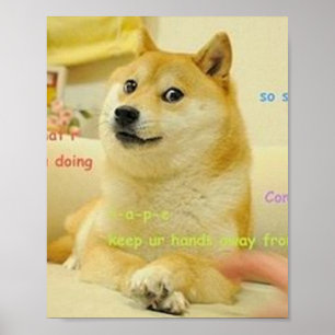 Doge Meme Poster