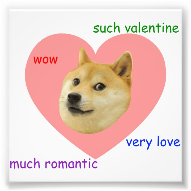 Doge Much Valentines Day Very Love Such Romantic Photo Print (Front)