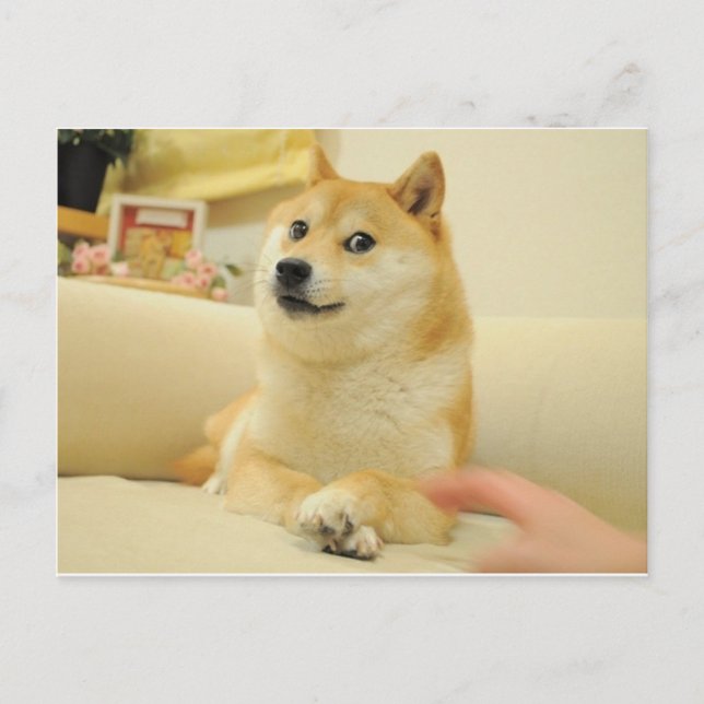 Doge Postcard (Front)