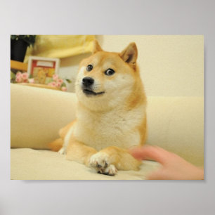 Doge poster