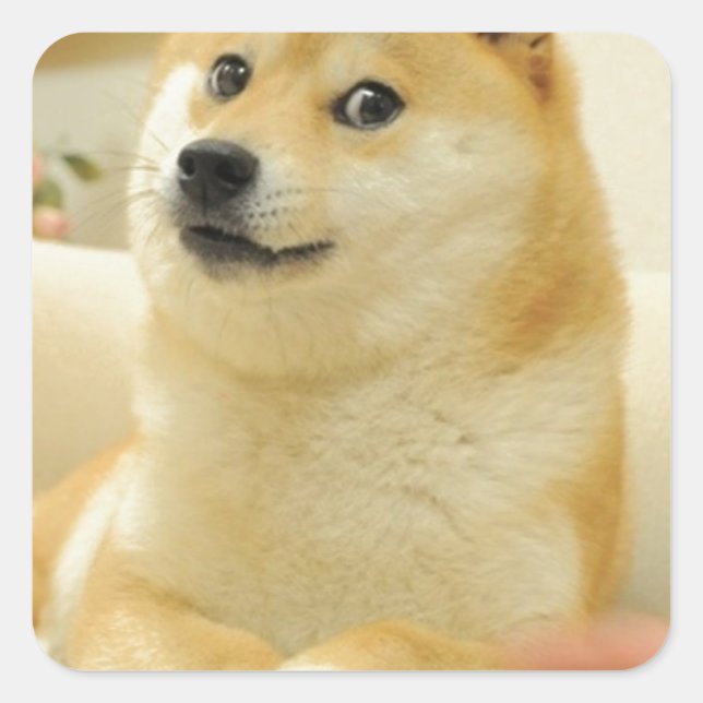 Doge Square Sticker (Front)