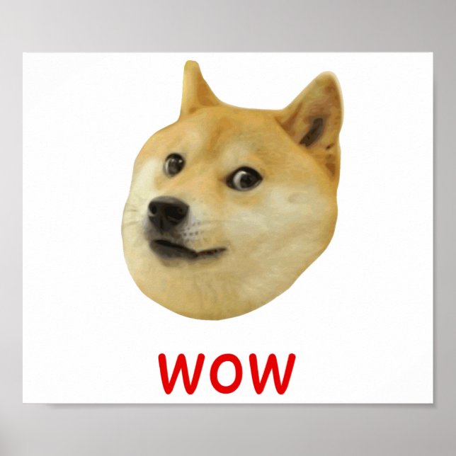 Doge Very Wow Much Dog Such Shiba Shibe Inu Poster (Front)