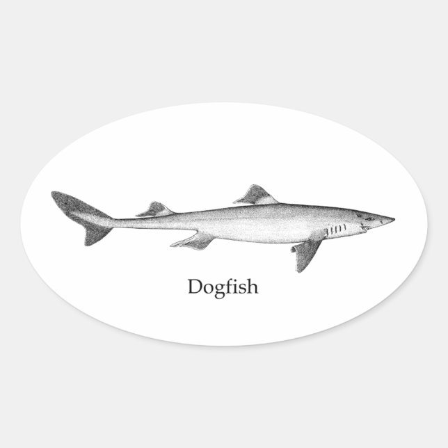 Dogfish (line art) oval sticker (Front)