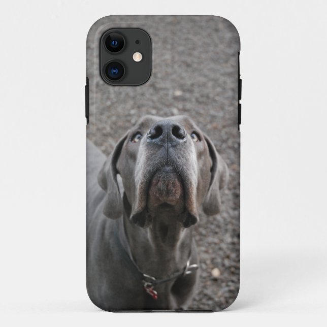 Dogge am Ohr Case-Mate iPhone Case (Back)