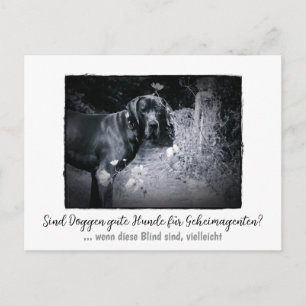 Dogge: der Hund für Geheimagenten  Postcard