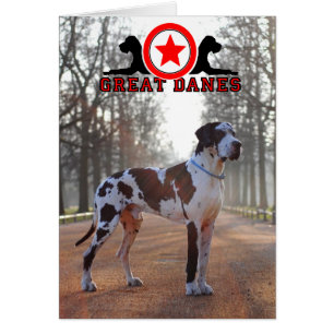 Doggenhaus Dog illustrations