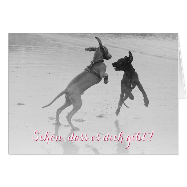 Doggenkarte "Schön" (Front Horizontal)