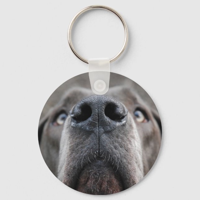 Doggennase Key Ring (Front)