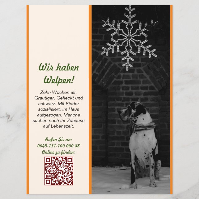 Doggenposter personalisierbar  flyer (Front)