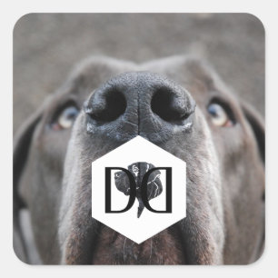 Doggenzucht Aufkleber Square Sticker