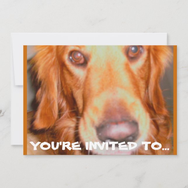 DOGGIE BIRTHDAY PARTY INVITATIONS (Front)