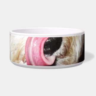 Doggie bowl- Max's tongue!