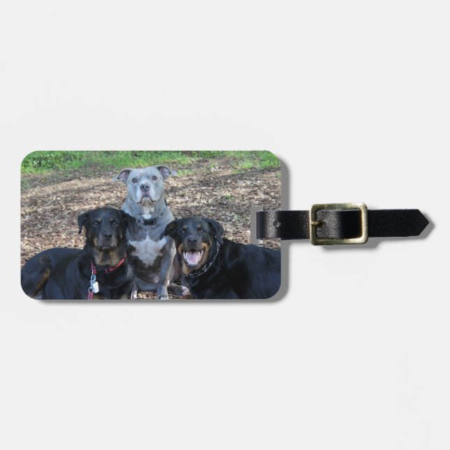 Doggie Family Picture Luggage Tag (Front Horizontal)