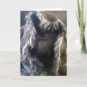 DOGGIE IN BLANKETS SAYS "PEEK-A-BOO" MISS YOU CARD