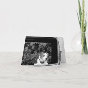 Doggie in the Window Note Card