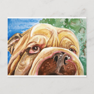 Doggie Kisses Postcard