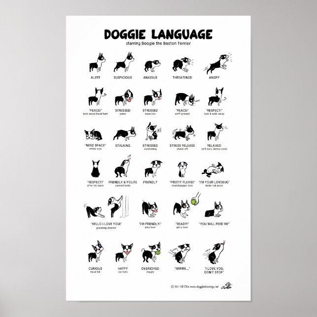 DOGGIE LANGUAGE Large Poster (Front)
