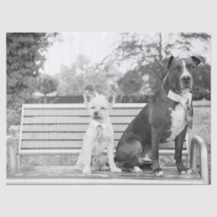 Doggie wedding tissue paper