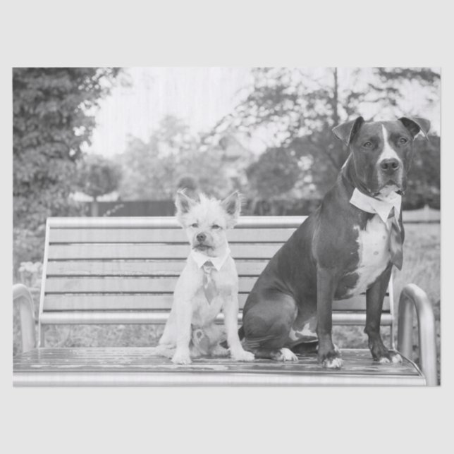 Doggie wedding tissue paper (Front)