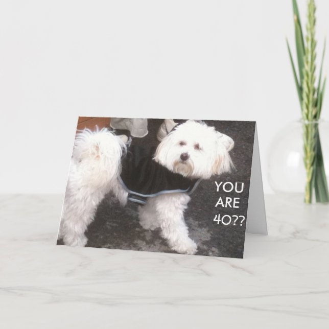 DOGGONE, YOU ARE 40?? CARD (Front)