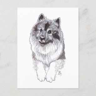 Doggust 2019 Keeshond Postcard
