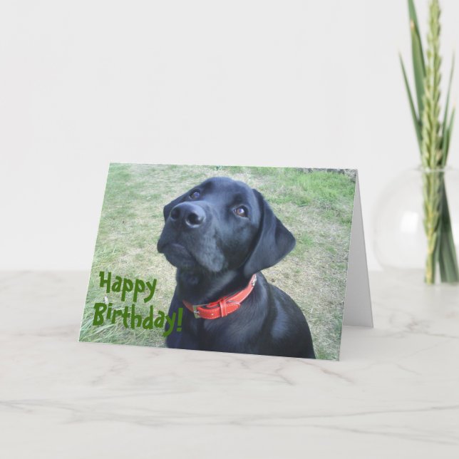 Doggy Birthday Card! Card (Front)