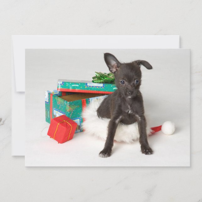 Doggy Christmas present Holiday Card (Front)