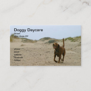 Doggy Daycare Business Card