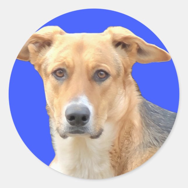 Doggy Face Stickers (Front)