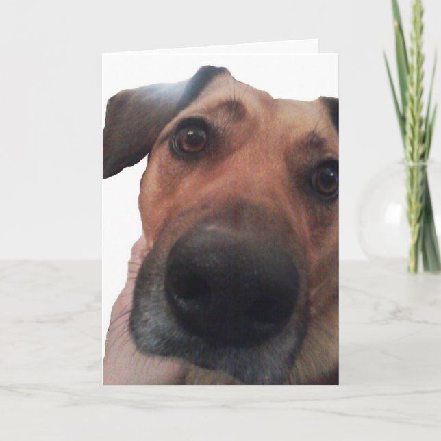 Doggy Hello Card (Front)