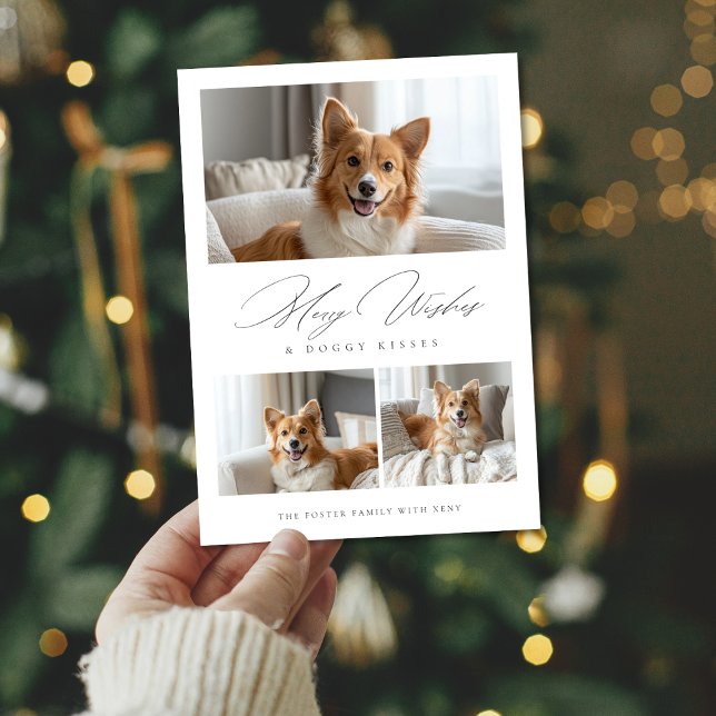 Doggy Kisses Funny Dog 3 Photo Modern Christmas Holiday Card (Creator Uploaded)