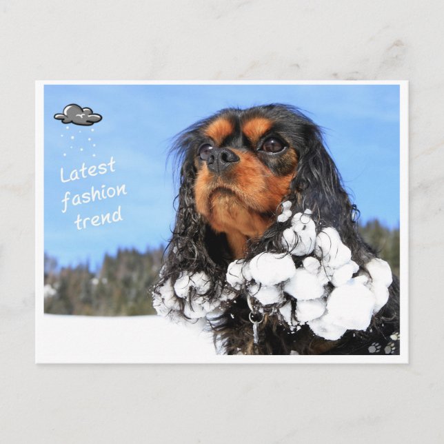 Doggy - latest winter fashion trend postcard (Front)