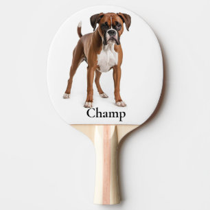 Doggy Paddle Boxer