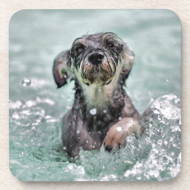 Doggy Paddle Cute Dog Swimming Coaster (Front)
