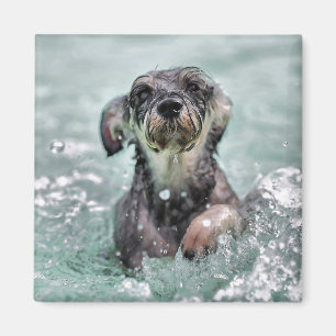 Doggy Paddle Cute Dog Swimming Magnet
