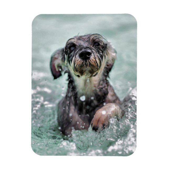 Doggy Paddle Cute Dog Swimming Magnet (Vertical)