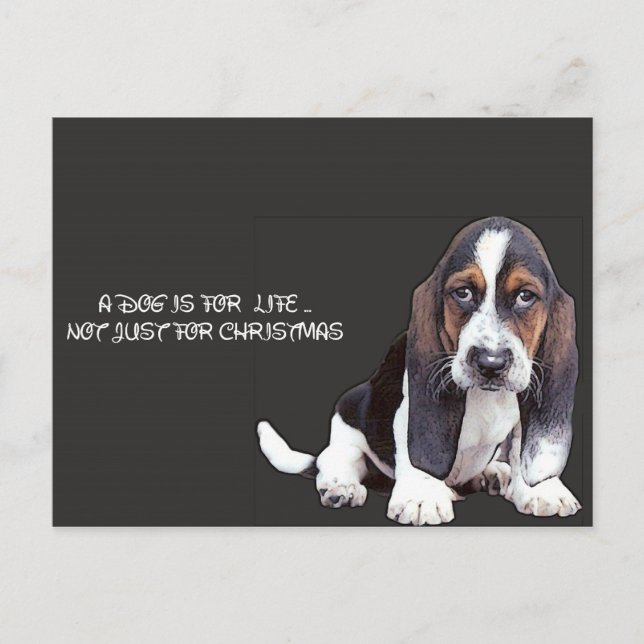 doggy postcard (Front)