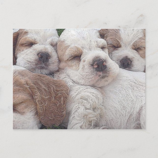 Doggy Postcard (Front)