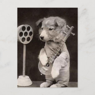Doggy Radio Star Postcard