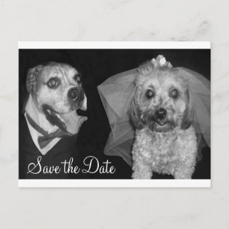 Doggy Save the Date Announcement Postcard
