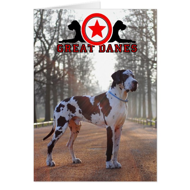Doghouse Dog illustrations (Front)