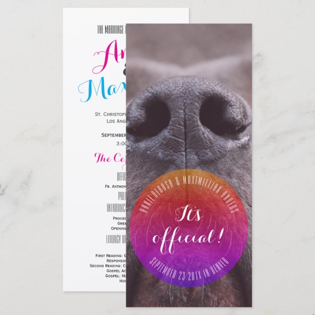 Dognose Rack Cards (Front/Back)