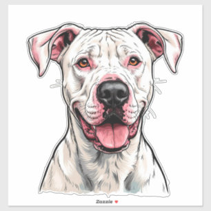 Dogo Argentino Dog