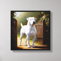 Dogo Argentino Dog