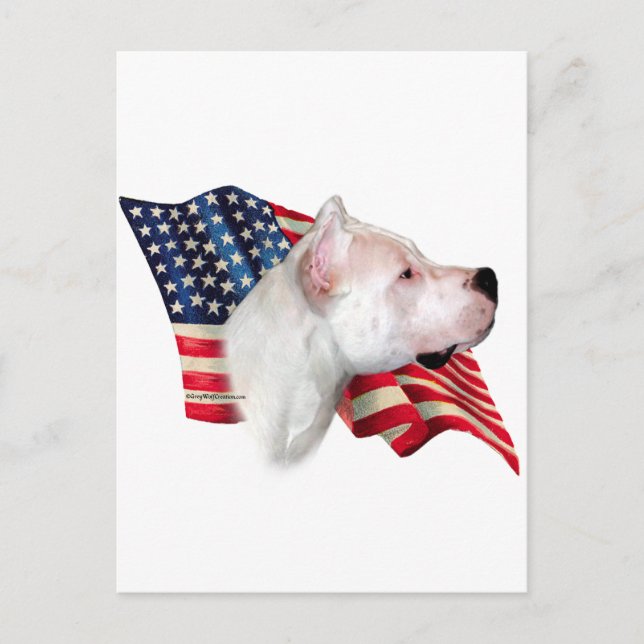 Dogo Argentino Flag Postcard (Front)