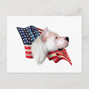 Dogo Argentino Flag Postcard