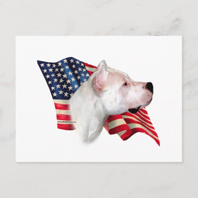 Dogo Argentino Flag Postcard (Front)